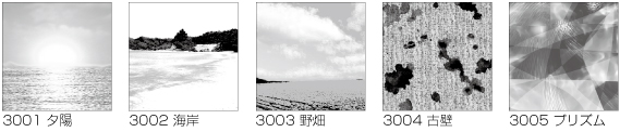 収録サンプル